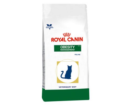 Royal Canin Obesity Feline Gato