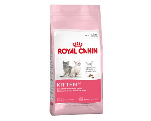 Royal Canin Kitten 36 Gato Cachorro