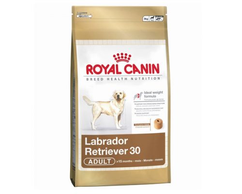 Royal Canin Labrador Retriever 30 Adulto