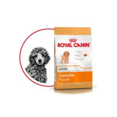 ðŸ¥‡Royal Canin Mini Poodle Caniche Junior