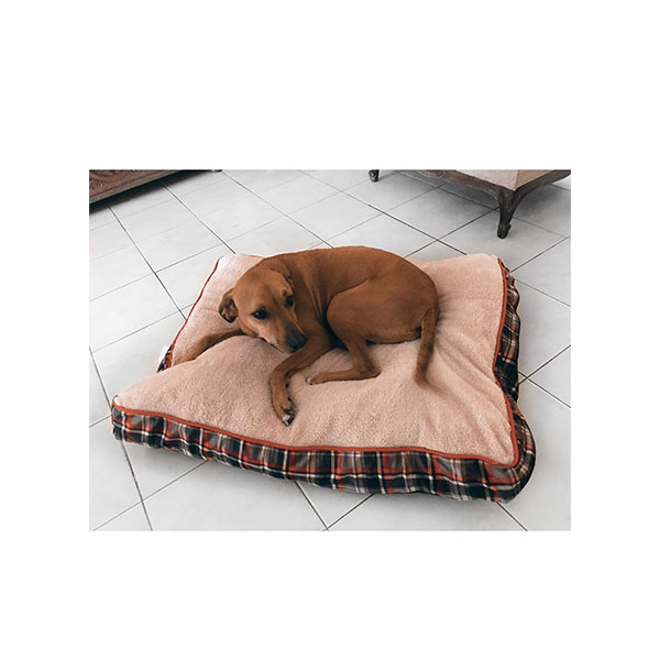 Colchoneta Dogit Dreamwell Dog