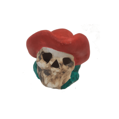 Calavera pirata con sombrero